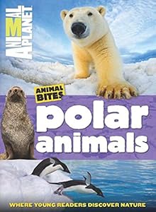 Animal Planet Polar Animals