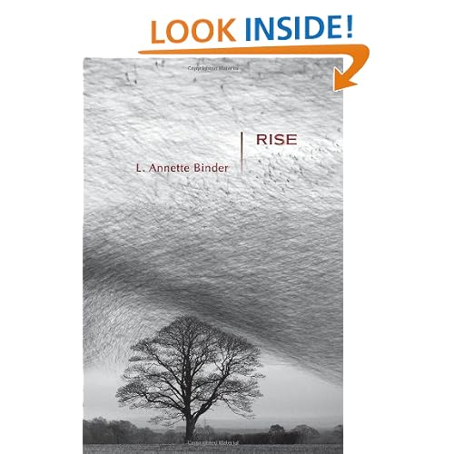 Rise: Stories (Mary McCarthy Prize in Short Fiction)