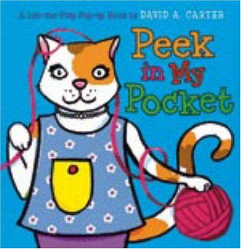 Peek in My Pocket by Sarah Weeks