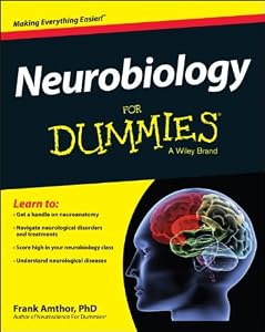 Neurobiology For Dummies by Frank Amthor
