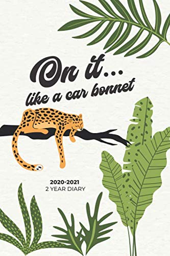 2020-2021 2 Year Diary: On It Like A Car Bonnet: UK Month pocket planner (monthly calendar, budgeting, habit tracker, moon phases) by Lovely Little Press
