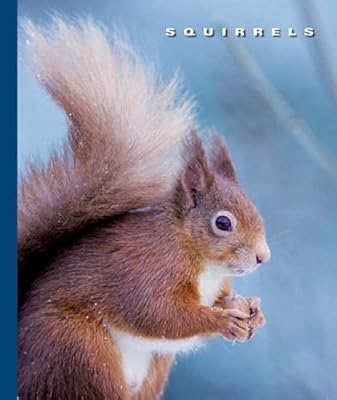 Squirrels (World of Mammals (Childs World))