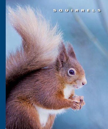 Squirrels (World of Mammals (Childs World)) by Peter Murray
