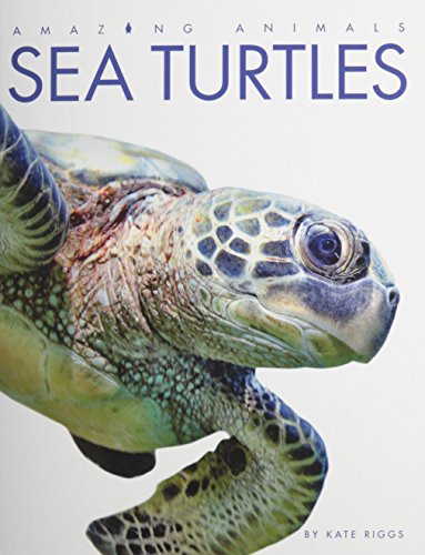 Amazing Animals Sea Turtles by Kate Riggs