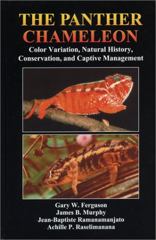 The Panther Chameleon: Color Variation, Natural History, Conservation, and Captive Management
