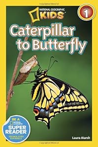 National Geographic Readers: Caterpillar to Butterfly