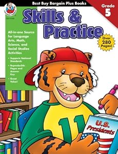 Skills & Practice, Grade 5 (Best Buy Bargain Books)