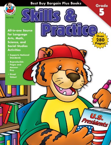 Skills & Practice, Grade 5 (Best Buy Bargain Books) by Frank Schaffer Publications