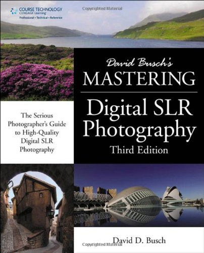 David Busch's Mastering Digital SLR Photography by David D. Busch