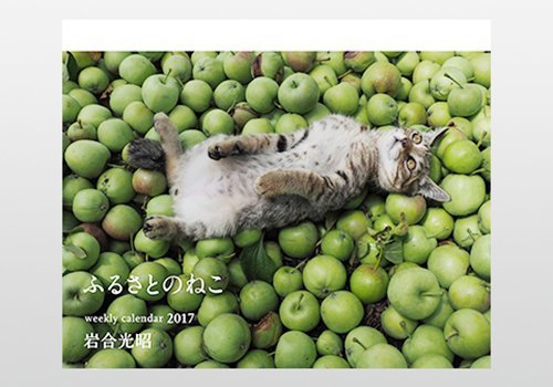 2017岩合光昭ねこカレンダー ふるさとのねこ週めくりカレンダー ([カレンダー])