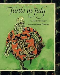 Turtle in July
