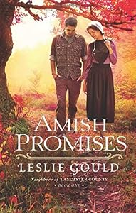 Amish Promises