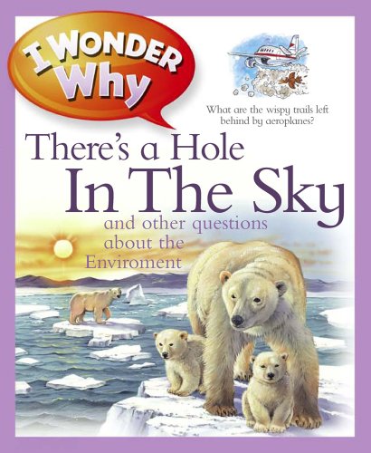 I Wonder Why There's a Hole in the Sky by Sean Callery