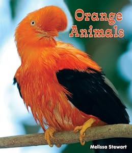 Orange Animals
