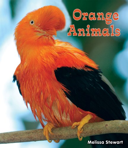 Orange Animals by Melissa Stewart