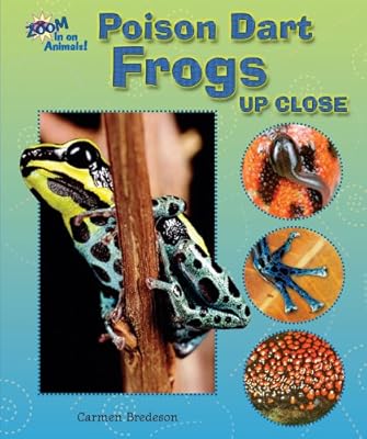 Poison Dart Frogs Up Close