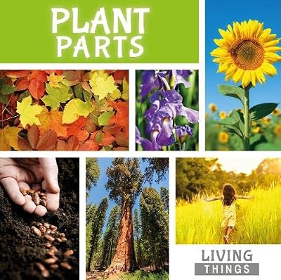 Plant Parts (Living Things)