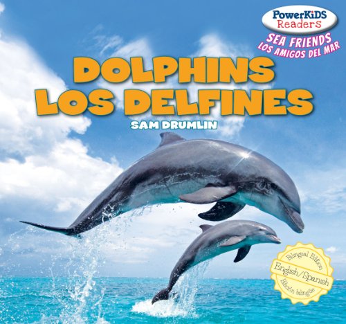 Dolphins / Los Delfines by Sam Drumlin