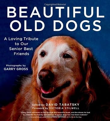 Beautiful Old Dogs: A Loving Tribute to Our Senior Best Friends
