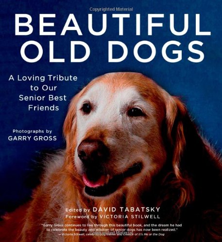 Beautiful Old Dogs: A Loving Tribute to Our Senior Best Friends by David Tabatsky