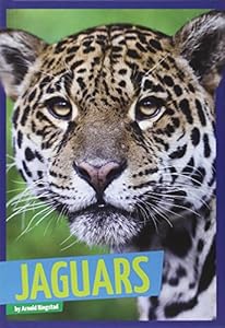 Jaguars