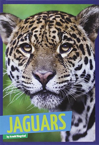 Jaguars by Arnold Ringstad