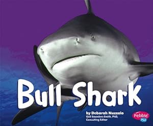 Bull Shark