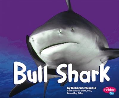 Bull Shark