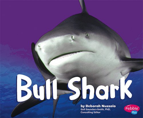 Bull Shark by Deborah Nuzzolo