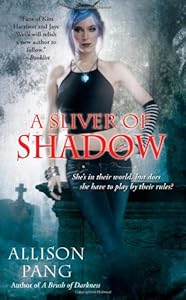 A Sliver of Shadow