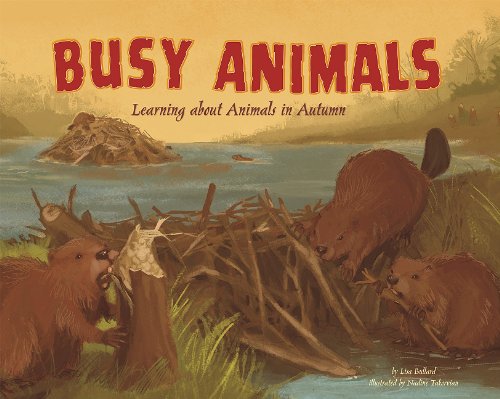 Busy Animals: Learning About Animals in Autumn by Lisa Bullard