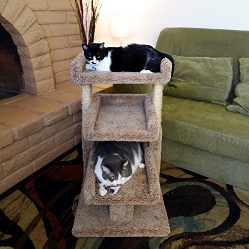

New Cat Condos 33-inch Triple Cat Perch with Kitty Cruiser Cat Tunnel-Brown