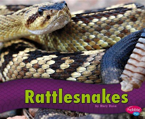 Rattlesnakes by Mary R. Dunn