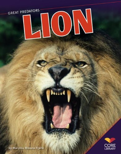 Lion by Marylou Morano Kjelle