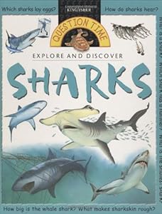 Question Time: Sharks (Question Time) by Stephen Savage