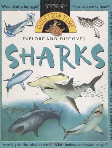 Question Time: Sharks (Question Time) by Stephen Savage