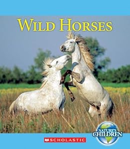 Wild Horses