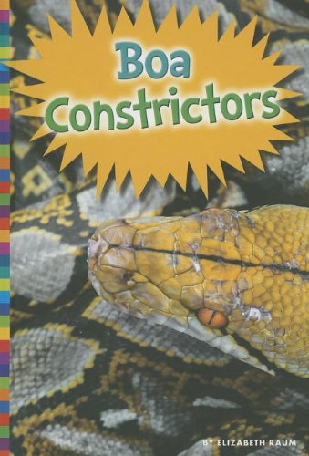 Boa Constrictors by Elizabeth Raum