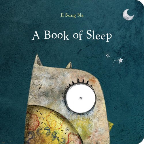 A Book of Sleep by Il Sung Na