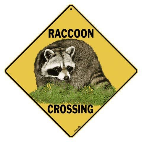 Algopix Similar Product 9 - CROSSWALKS Raccoon Crossing 12 X 12