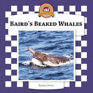 Baird's Beaked Whales (Whales Set II)
