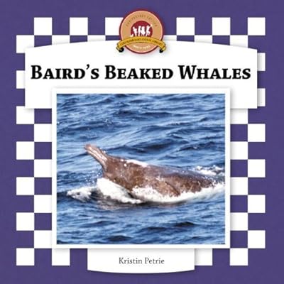 Baird's Beaked Whales (Whales Set II)