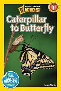 National Geographic Readers: Caterpillar to Butterfly