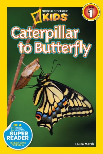National Geographic Readers: Caterpillar to Butterfly by Laura Marsh