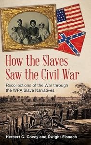 How the slaves saw the Civil War : recollections of the war through the WPA slave narratives