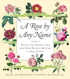 A Rose by Any Name: The Little-Known Lore and Deep-Rooted History of Rose Names by Douglas Brenner