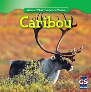 Caribou