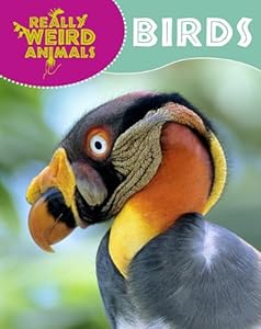 Birds (Really Weird Animals)