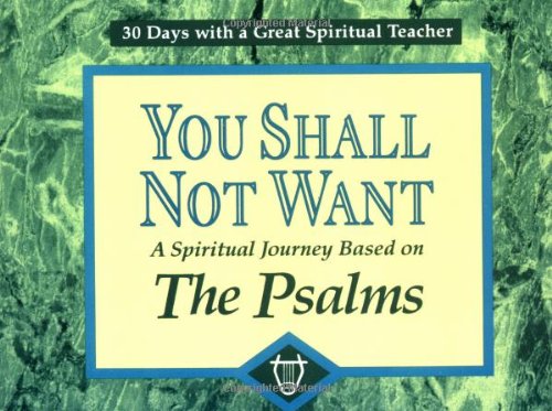YOU SHALL NOT WANT: A SPIRITUAL JOURNEY BASED ON THE By Richard Chilson *VG+*