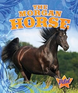 The Morgan Horse (Pilot Book: Horse Breed Roundup)